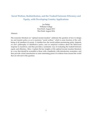 Social Welfare, Redistribution, and the Tradeoff Between Efficiency and Equity, with Developing Country Applications