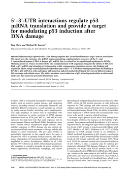 UTR Interactions Regulate P53 Mrna Translation and Provide a Target for Modulating P53 Induction After DNA Damage