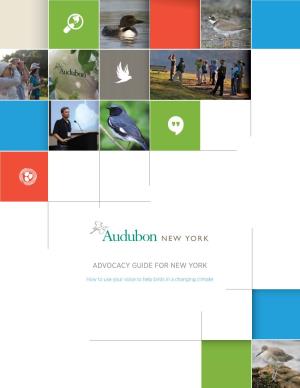 Audubon Ny Advocacy Guide