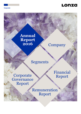 Annual Report 2016 Corporate Governance Report Segments Financial Report Company Remuneration Report