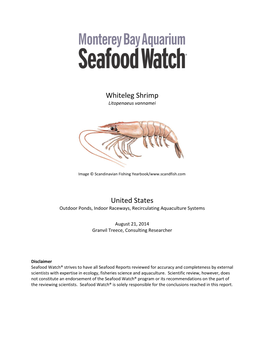 MBA-Seafood Watch US-Farmed Shrimp Report (Pdf)