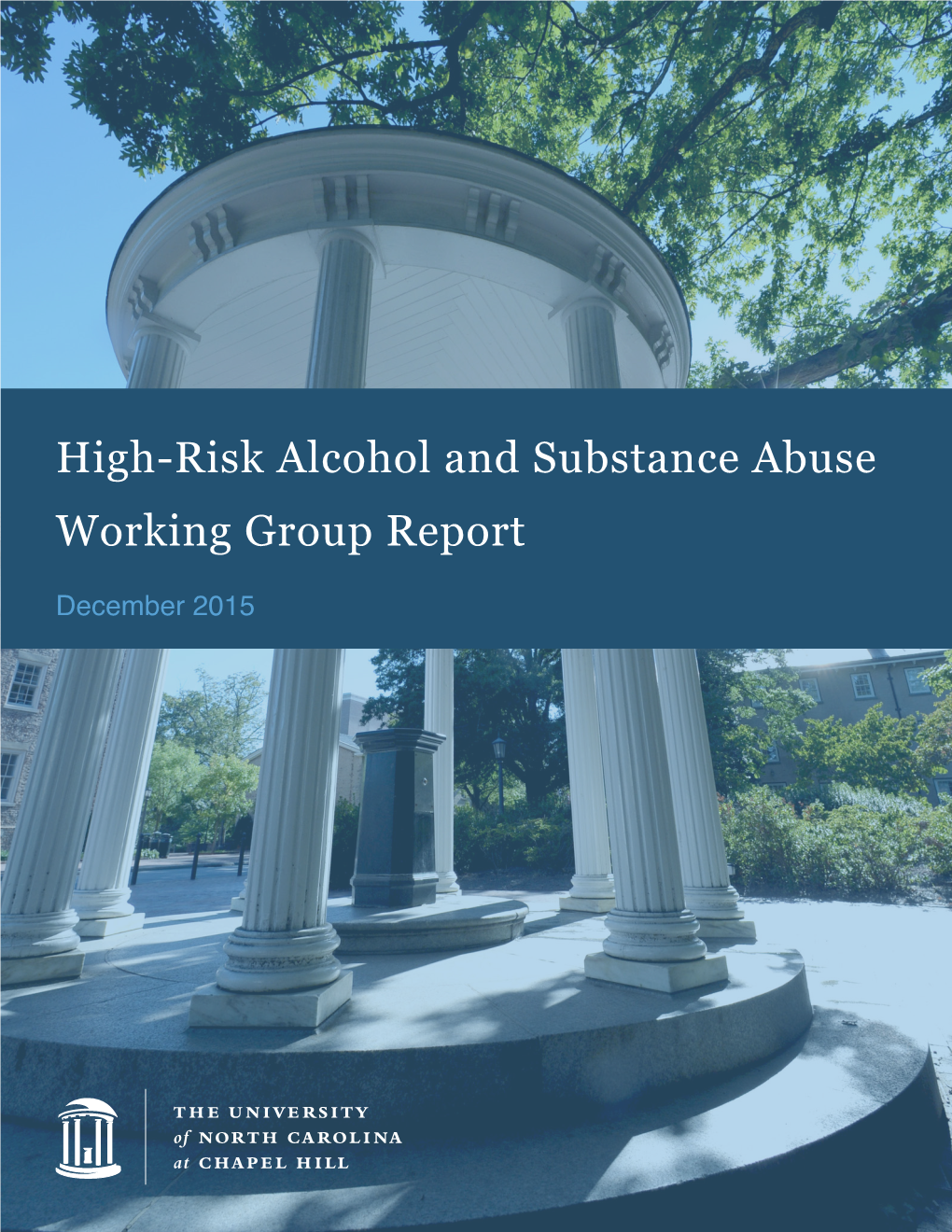 High-Risk Alcohol and Substance Abuse Working Group Report