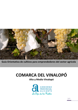 COMARCA DEL VINALOPÓ Alto Y Medio Vinalopó