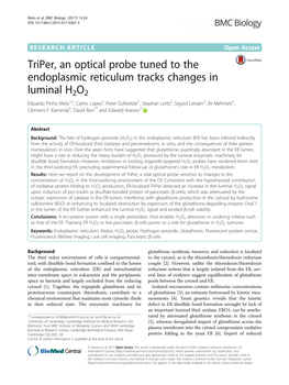 Triper, an Optical Probe Tuned to the Endoplasmic Reticulum Tracks
