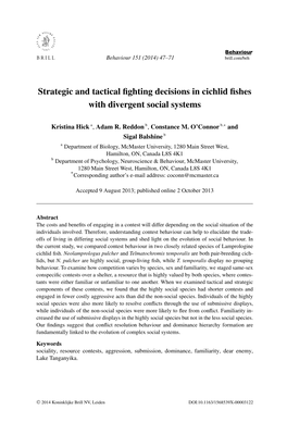 Strategic and Tactical Fighting Decisions in Cichlid Fishes With
