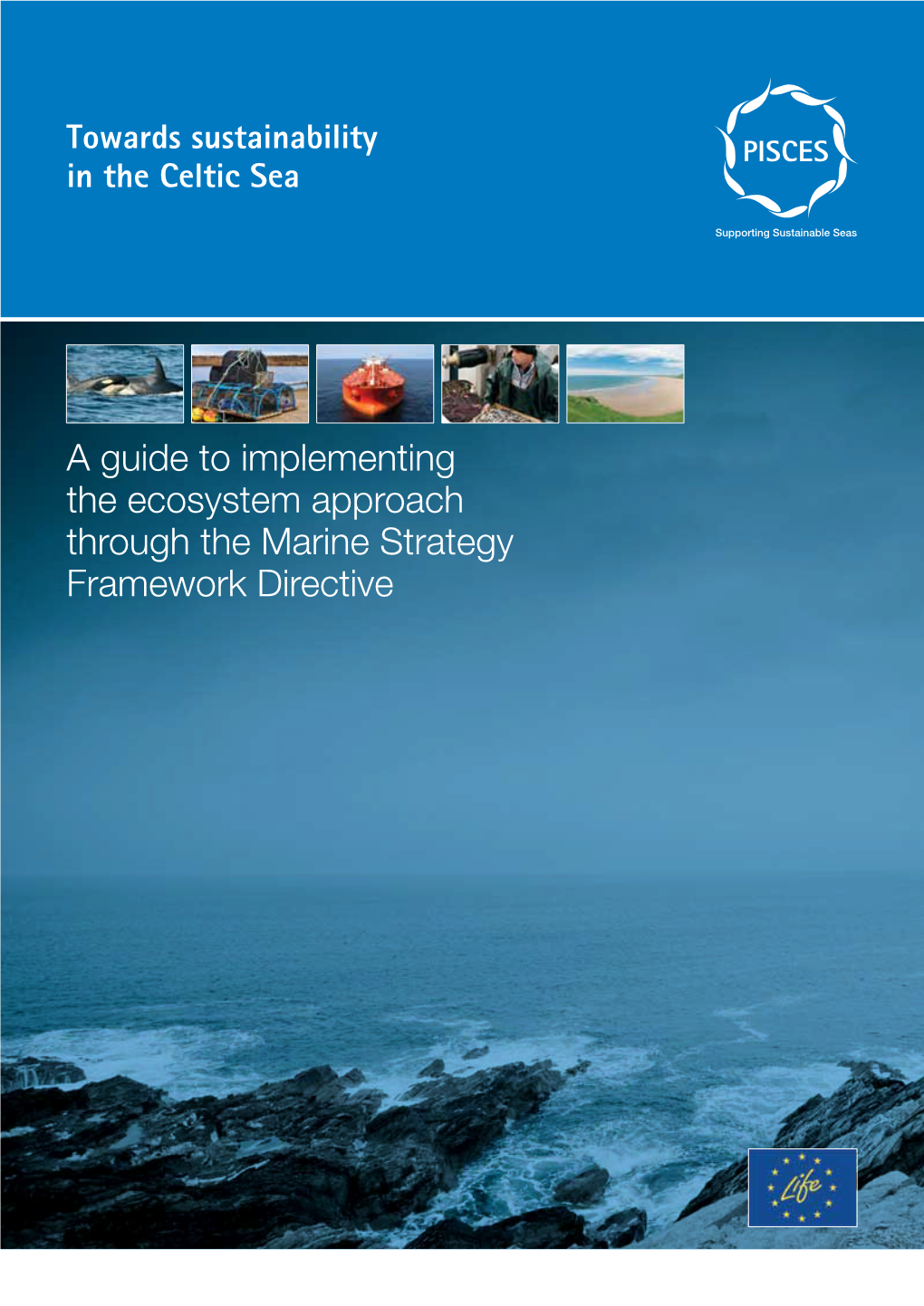 A Guide to Implementing the Ecosystem Approach Through the Marine ...