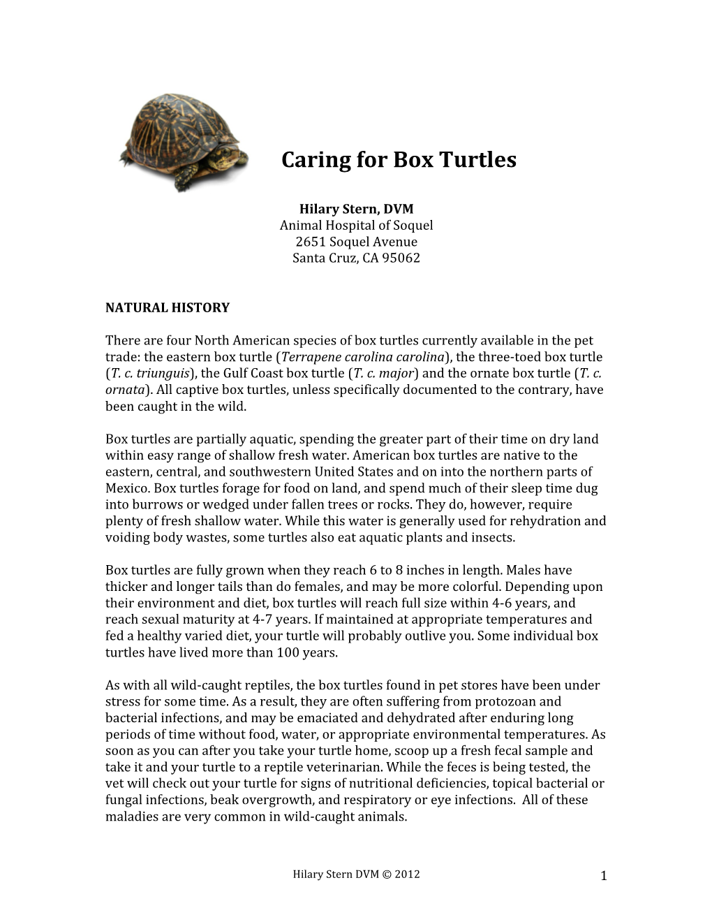 Caring for Box Turtles