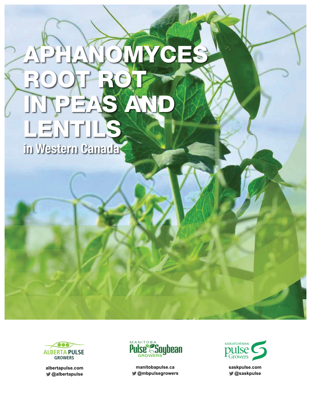 APHANOMYCES ROOT ROT in PEAS and LENTILS in Western Canada