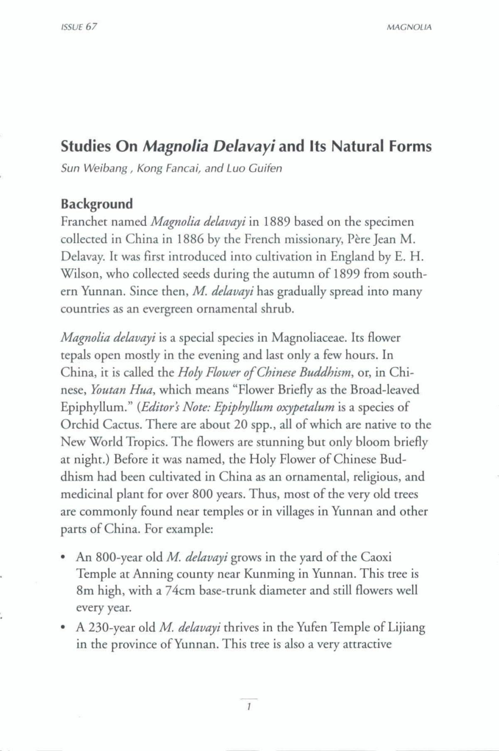 Issue 67 03-15 Studies on Magnolia