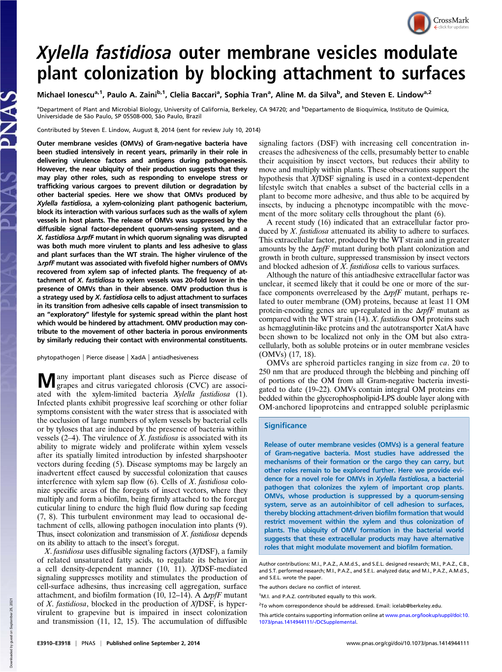 Xylella Fastidiosa Outer Membrane Vesicles Modulate Plant Colonization by Blocking Attachment to Surfaces