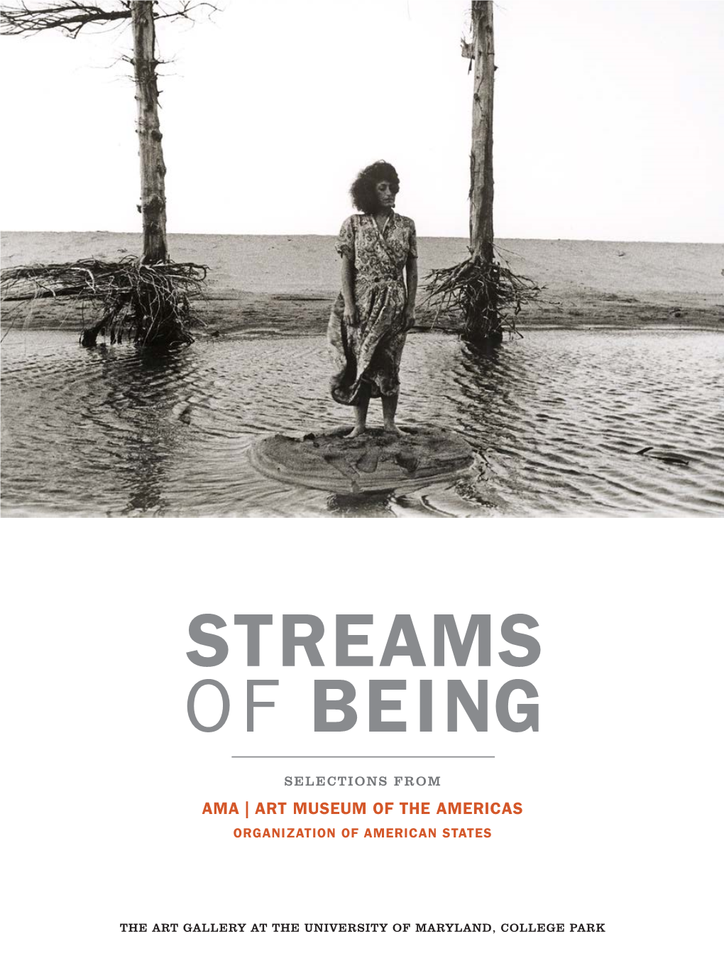 Streams of Being