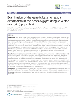 Dengue Vector Mosquito