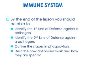 The Immune System Phagocytosis Antibody Function
