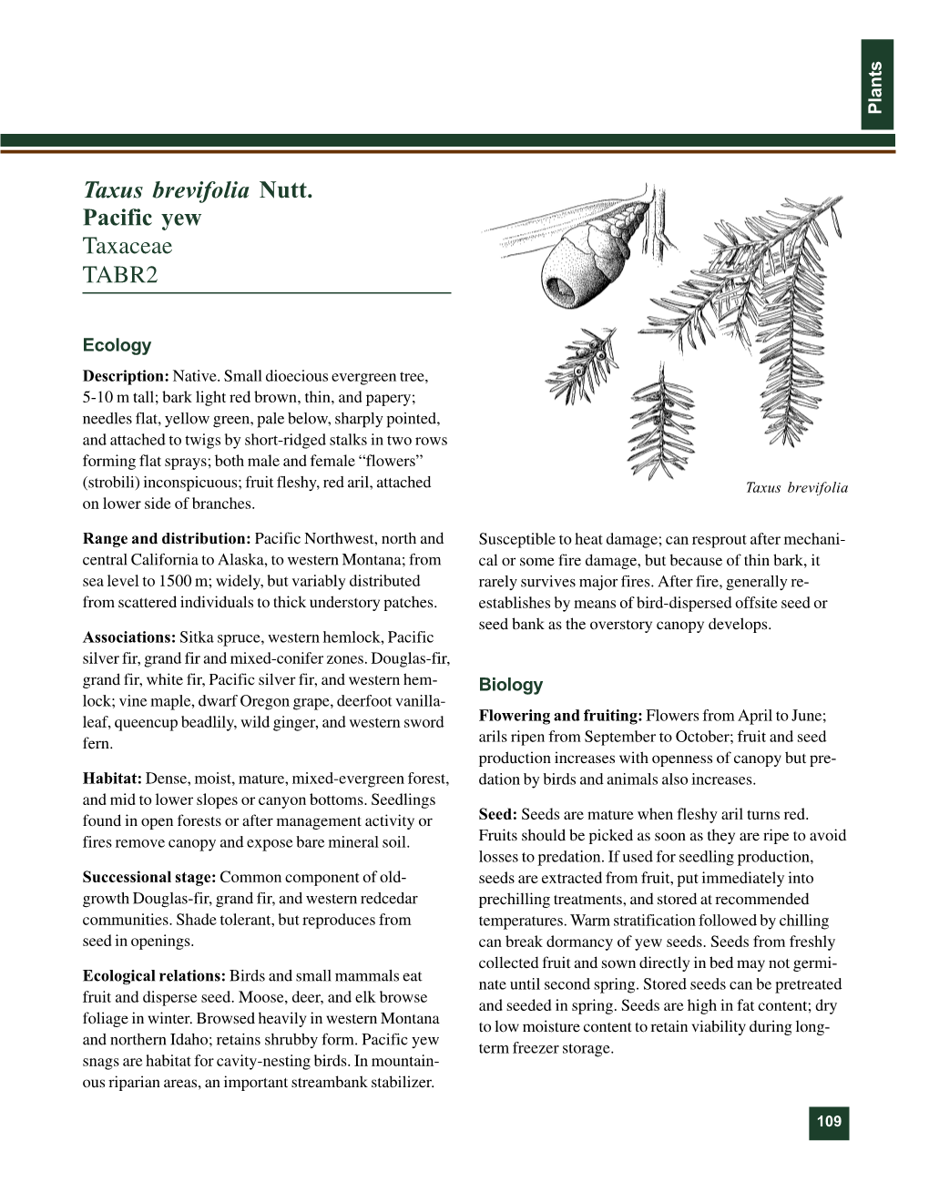 Taxus Brevifolia Nutt. Pacific Yew Taxaceae TABR2