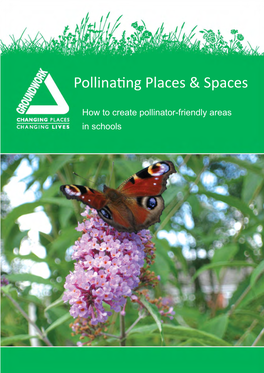 Pollinator Guide for Schools
