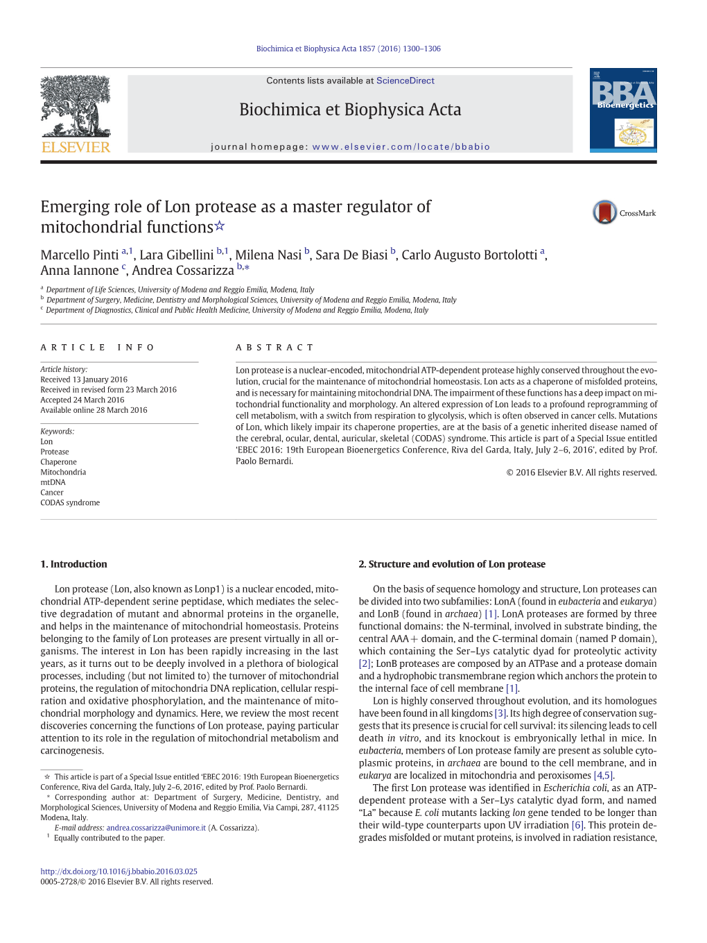 Emerging Role of Lon Protease As a Master Regulator of Mitochondrial Functions☆