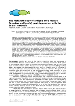 The Histopathology of Antique Ark's Mantle (Anadara Antiquata) Post