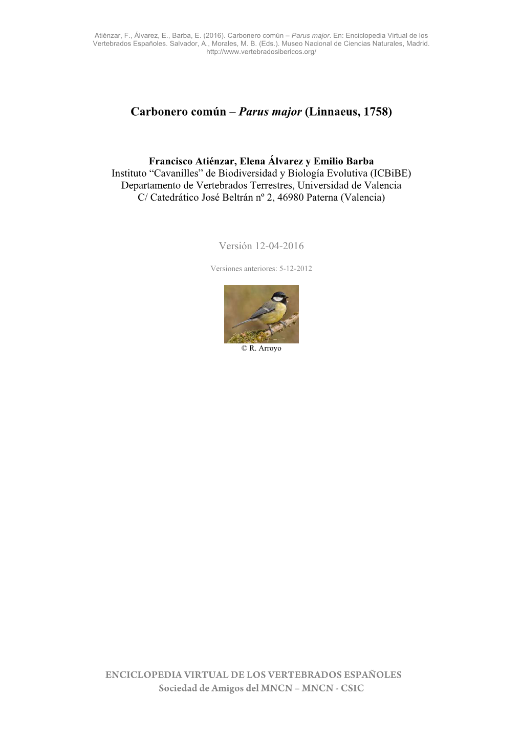 Carbonero Común – Parus Major (Linnaeus, 1758)