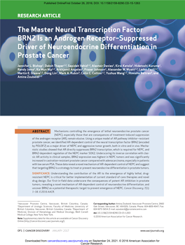The Master Neural Transcription Factor BRN2 Is an Androgen Receptor–Suppressed Driver of Neuroendocrine Differentiation in Prostate Cancer
