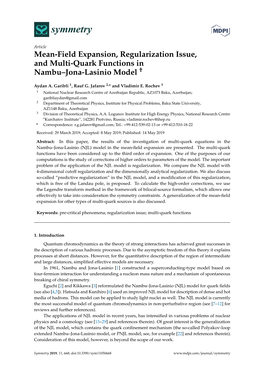 Mean-Field Expansion, Regularization Issue, and Multi-Quark Functions in Nambu–Jona-Lasinio Model †