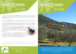 La Route De L'olivier En Drôme