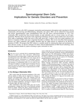 Spermatogonial Stem Cells: Implications for Genetic Disorders and Prevention