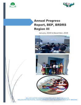 Annual Progress Report, BEP, BRDRS Region