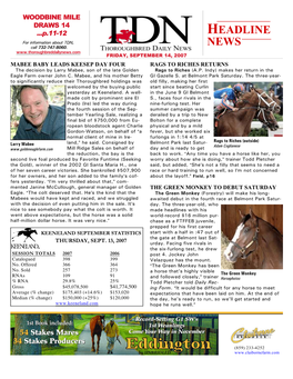 HEADLINE for Information About TDN, Call 732-747-8060