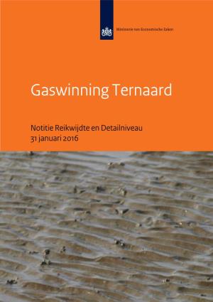 Gaswinning Ternaard PDF Document