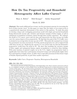 How Do Tax Progressivity and Household Heterogeneity Affect