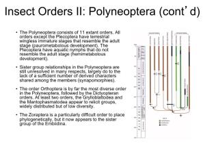 Insect Orders II: Polyneoptera (Cont'd)
