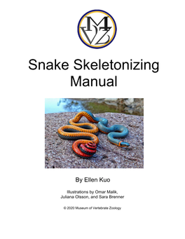 Snake Skeletonizing Manual