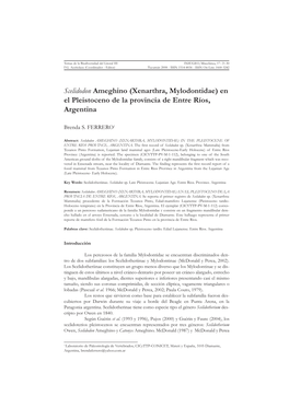Scelidodon Ameghino (Xenarthra, Mylodontidae) En El Pleistoceno De La Provincia De Entre Ríos, Argentina