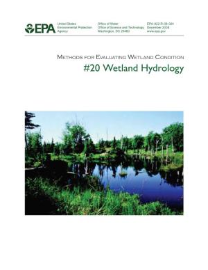 Wetland Hydrology (PDF)