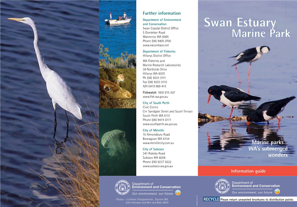 Swan Estuary Swan