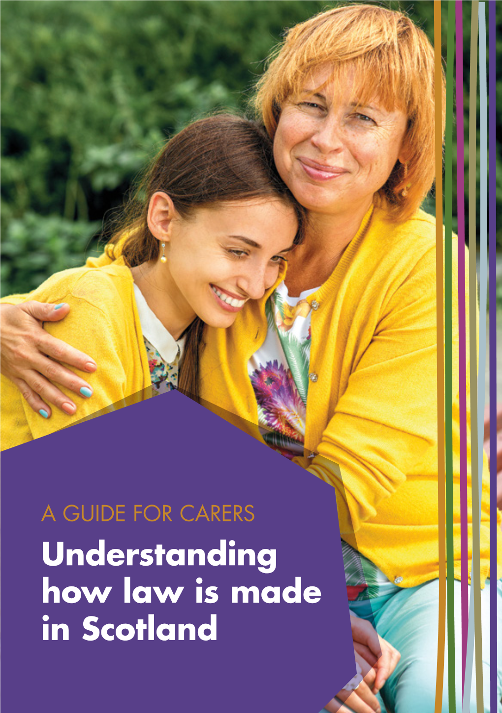 Understanding How Law Is Made – a Guide for Carers