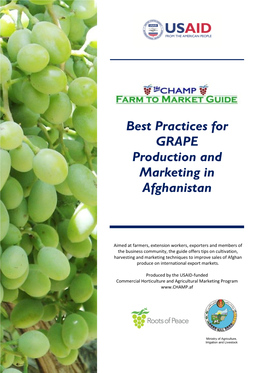 Best Practices for GRAPE Production and Marketing in Afghanistan