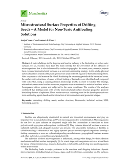 Microstructural Surface Properties of Drifting Seeds—A Model for Non-Toxic Antifouling Solutions