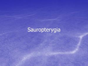 Sauropterygia Lepidosauromorpha