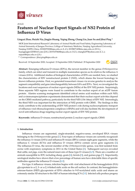 Features of Nuclear Export Signals of NS2 Protein of Influenza D Virus