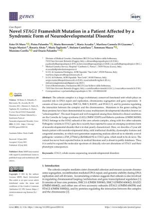 Novel STAG1 Frameshift Mutation in a Patient Affected by a Syndromic Form of Neurodevelopmental Disorder