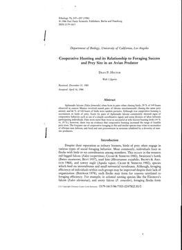 Cooperative Hunting and Its Relationship to Foraging Success and Prey Size in an Avian Predator