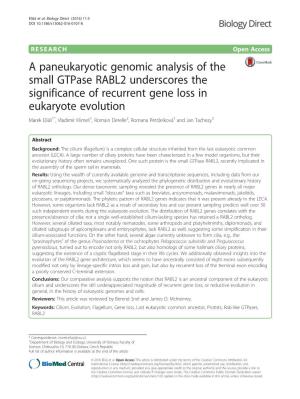 A Paneukaryotic Genomic Analysis of the Small Gtpase RABL2