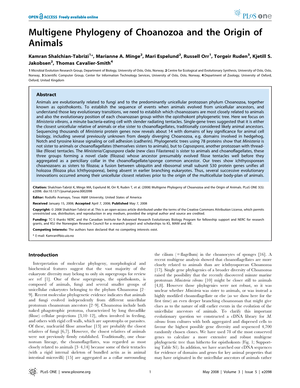 Multigene Phylogeny of Choanozoa and the Origin of Animals