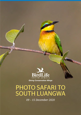 Photo Safari to South Luangwa