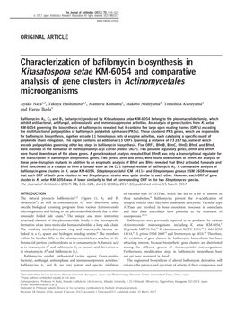 Characterization of Bafilomycin Biosynthesis In