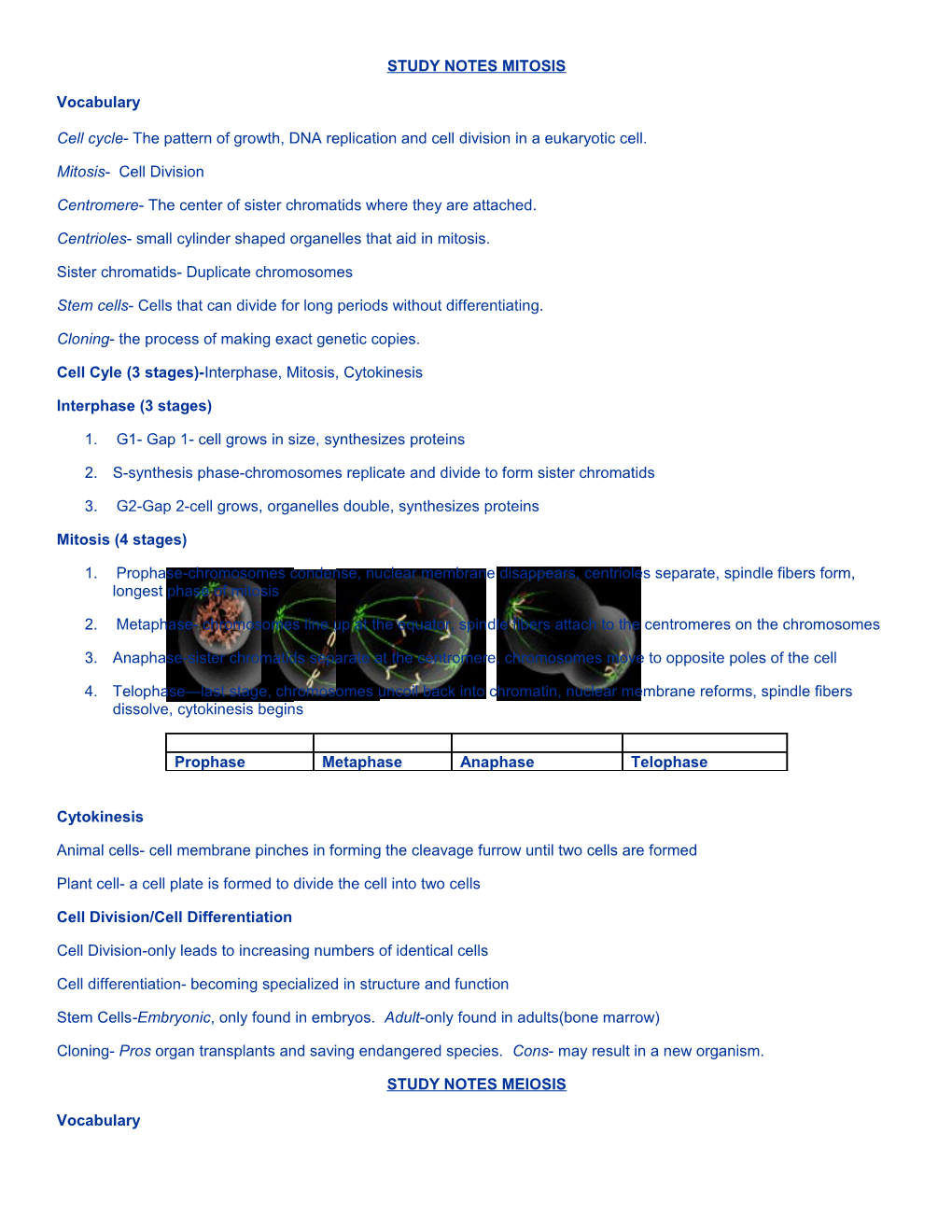 Study Notes Mitosis