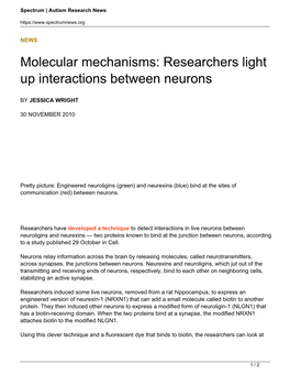 Molecular Mechanisms: Researchers Light up Interactions Between Neurons