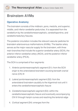 Brainstem Avms