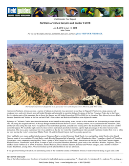 Northern Arizona's Canyons and Condor II 2018